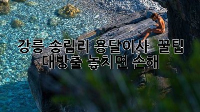 강릉 송림리 용달이사 🚚 꿀팁 대방출! 놓치면 손해 💰
