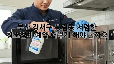 부산 강서구 봉림동 저렴한 청소업체 예약, 어떻게 해야 할까요?